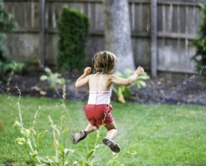 Irrigation System for Lawn