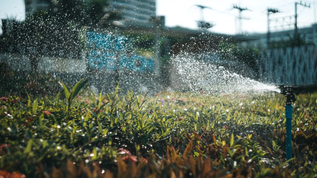 lawn irrigation