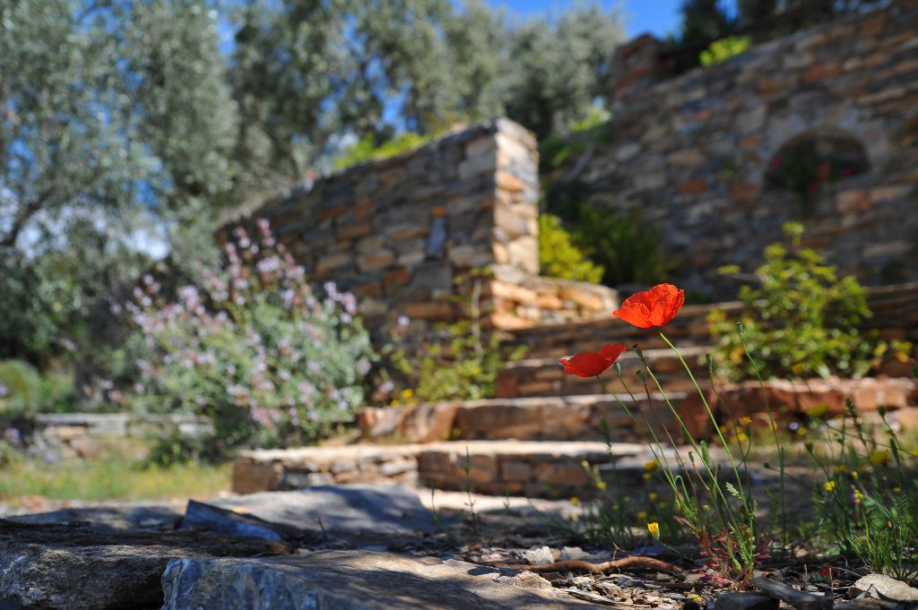 stone steps made by someone who knew how to hardscape their yard