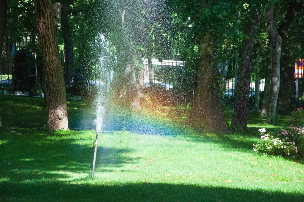 Sprinkler on a lawn creating a rainbow