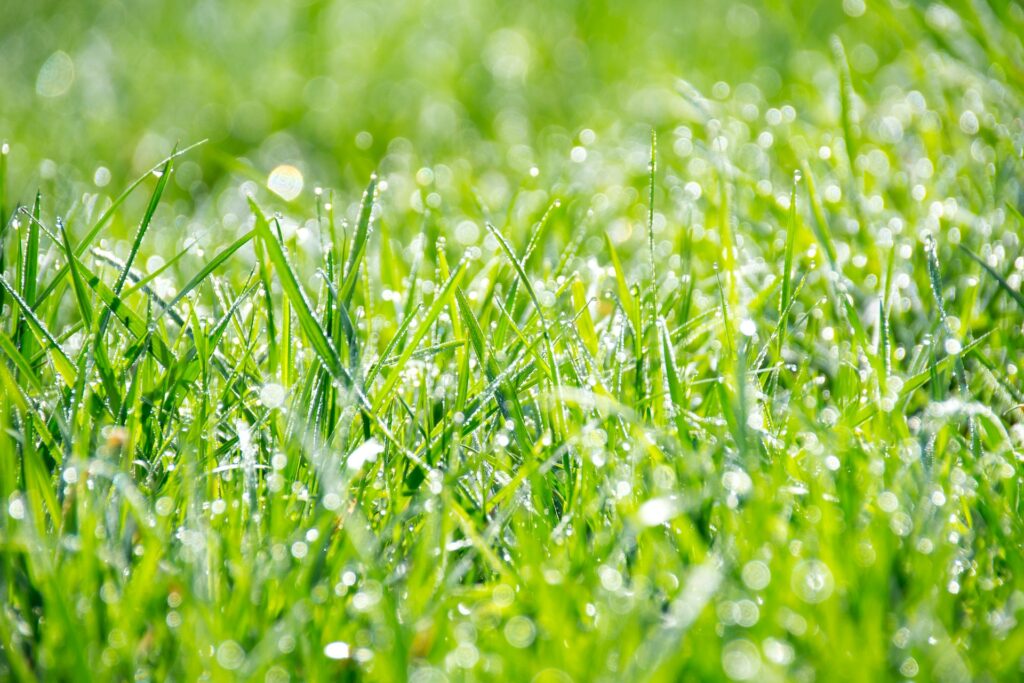 above ground lawn sprinkler system